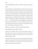 Proyecto piloto de diseño de huertos orgánicos sustentables con sistema de riego para viviendas