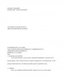 IDEA DE NEGOCIO COCONUT PARADISE