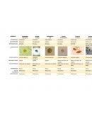 Practica-Parasitologia