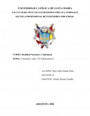 Comentario video “El Tahuantinsuyo”