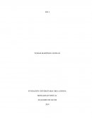 INFORME DE ANALISIS DE DATOS