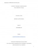 Proceso Administrativo Google