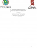 EL PAPEL DE LOS PRESUPUESTOS EN LA PLANEACIÓN