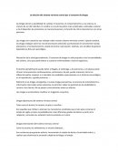 La afección del sistema nervioso central por el consumo de drogas