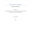 Practica 1_electronica_operacional