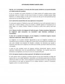 Actividades Federico García Lorca