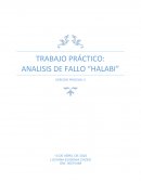 ANALISIS FALLO HALABI