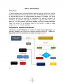 Marco metodologico pintura ecológica