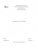 Alimentacion en la actividad física