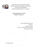 Filosofia y enfermeria u4