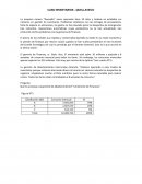 Caso Inventarios - Quellaveco