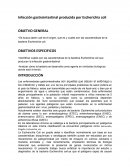 Infección gastrointestinal producida por Escherichia coli