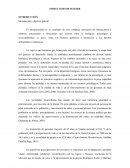 Terapia Asistida por Animales (TAA)