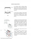 Definicion de Flexion