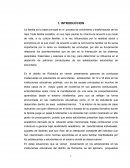 Propuesta para una maestria