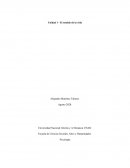 Unidad 1 - El sentido de la vida