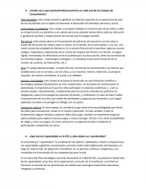 PCC –PROPUESTA CURRICULAR COMPLEMENTARIA AL NIVEL PRIMARIO. Página 3