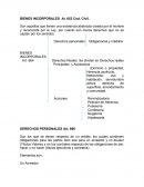 BIENES INCORPORALES Y PATRIMONIO