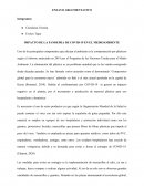 Ensayo del impacto del plástico en el medio ambiente