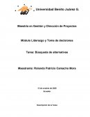 Maestría en Gestión y Dirección de Proyectos