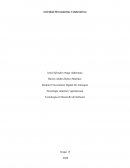 Tecnología en Desarrollo de Software