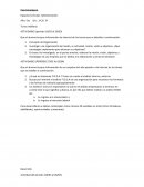 Administracion. Plan estratégico