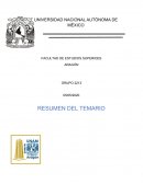 RESUMEN TEMARIO DE INTRODUCCION A LA INGENIERIA