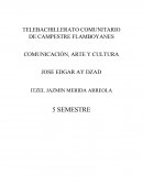 INTERPRETANDO BARRERAS