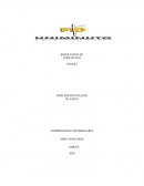 EL IMPACTO DE LOS CONFLICTOS EN LOS SERES HUMANO