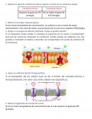 Trasporte de las membranas