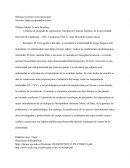 Síntoma necrótico tizón (turcicum)