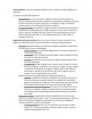 RESUMEN - GESTION DE BASES DE DATOS