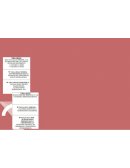 EVOLUCIÓN DE LA TALLA DE LOS NIÑOS Y NIÑAS Y SU MEDICIÓN