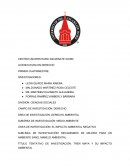 TREN MAYA Y SU IMPACTO AMBIENTAL