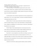 Percepción, Atribución, actitud y decisión