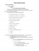 Cálculo y métodos numéricos