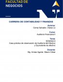 Caso práctico de observación de Auditoría del Efectivo y Equivalente de efectivo