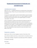 Organización Estructural de la Producción en la Actividad Pecuaria