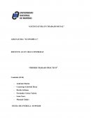 La ciencia económica. El marco conceptual de la relación entre el hombre y la naturaleza