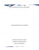 Riesgos y Control Informático