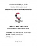 Mercado laboral para futuros profesionales en comunicacion social