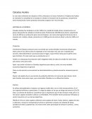 Fidelización de Clientes Calzados Azaleia