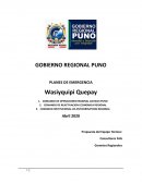 PLAN DE TRABAJO COMANDO COVID