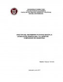 EFECTOS DEL MATRIMONIO PUTATIVO SEGÚN LA LEGISLACIÓN VENEZOLANA Y EL DERECHO
