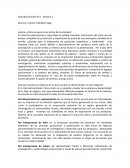 Cómo se aprecia los inicios de la empresa?