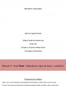 Manual #1 visual basic