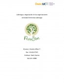 Liderazgo y negociación en las organizaciones. Actividad Entrevista Liderazgo