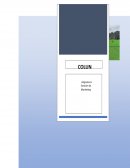 Informe empresa Colun