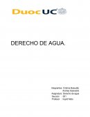 Problemática del Agua