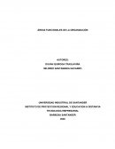 Áreas funcionales de una organización MINERAL´S DISCOVERY S.A.S